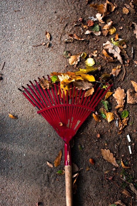 J'entretiens mon jardin cet automne
