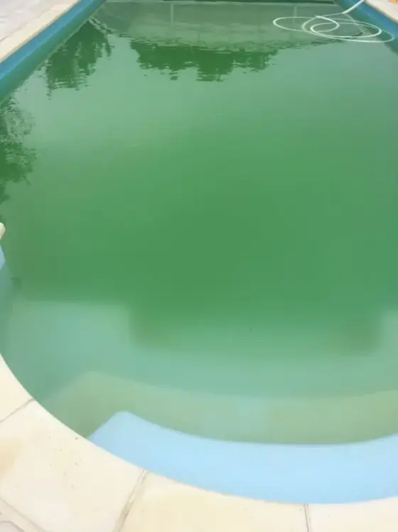 Bonjour à tous  Ma piscine est devenue toute verte depuis quelques jours 😅 Je cherche des conseils pour savoir quoi faire (produits, entretien, astuces…). Est-ce qu’un pisciniste ou même des particuliers qui ont déjà eu ce problème pourraient m’aider ? Merci d’avance pour vos retours 🙏